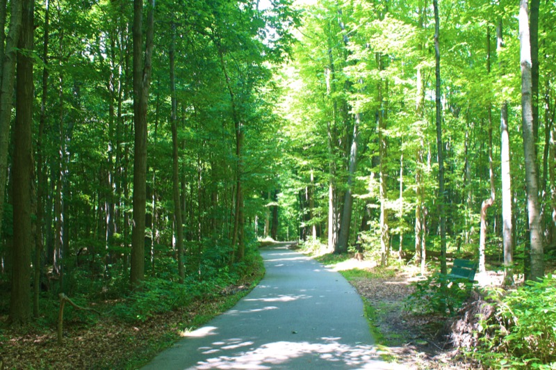 Delhi Township Trails